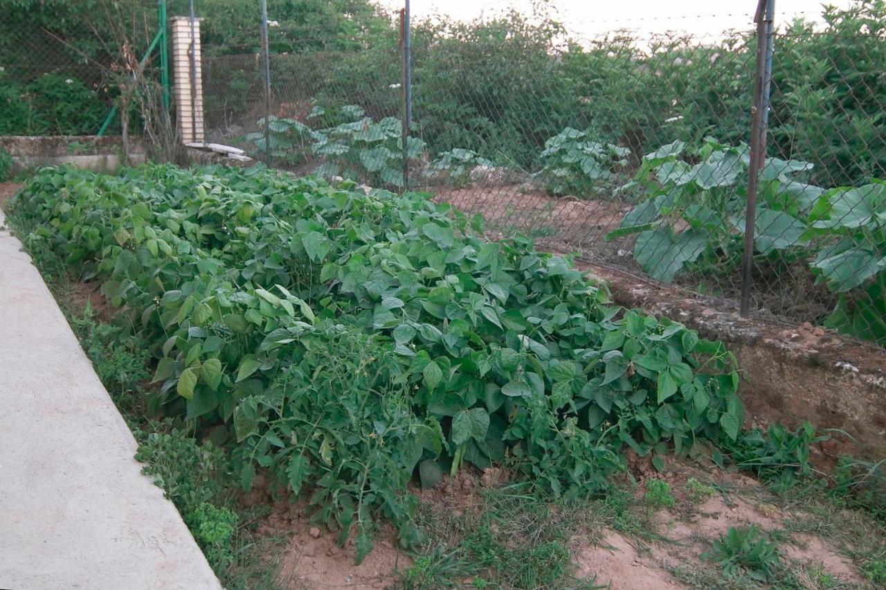 Santibanez del Val El Jardin De Manuela 빌라 외부 사진