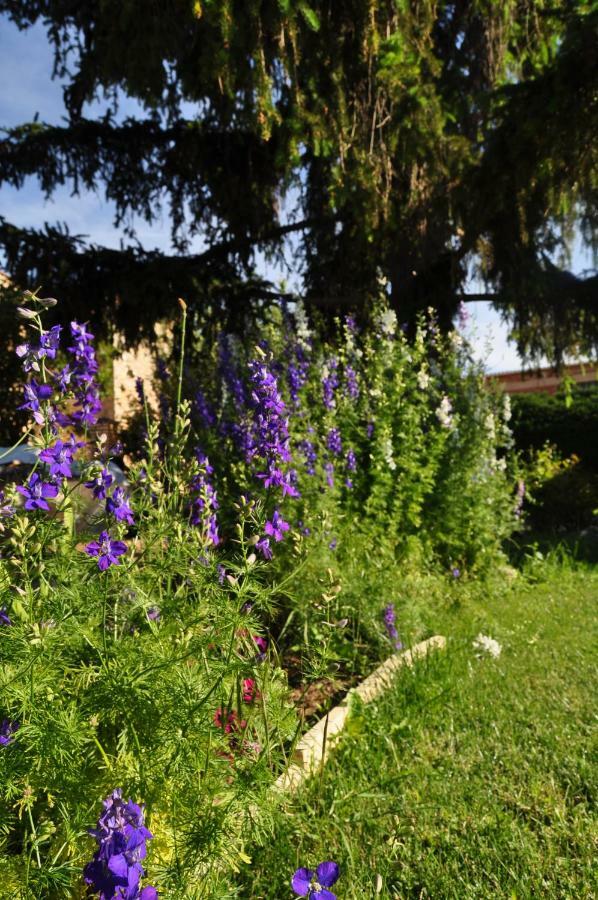 Santibanez del Val El Jardin De Manuela 빌라 외부 사진